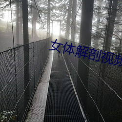 女(女)体解剖视(視)频(頻)