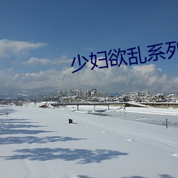 少妇欲乱系列小说