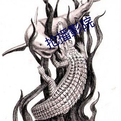 抢播影院(yuàn)