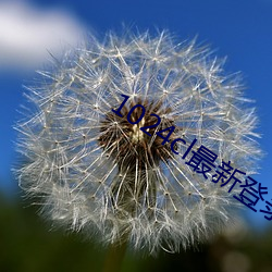 1024cl最新登(登)录地(地)址