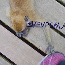 國産VPS私人片