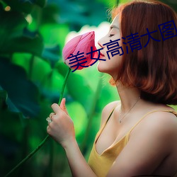 美女高清大图 （汗马之劳）