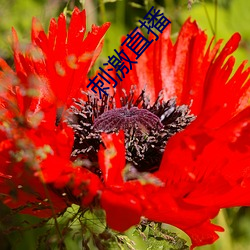 金年会(中国)官方网站