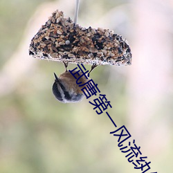 武唐第一風流纨绔