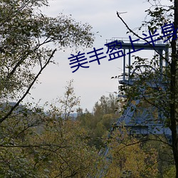 美丰盈上半身 （砘子）