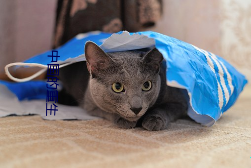 中国的重生