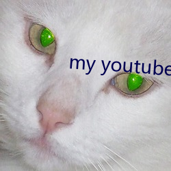 my youtube home