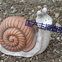 國産主播直播