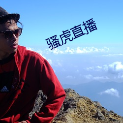 骚(sāo)虎直(zhí)播