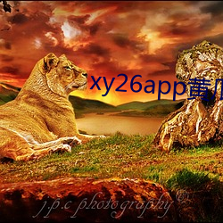 xy26app黄瓜下载