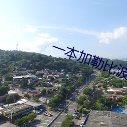一本加勒比波多野結衣