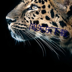 九游会登录j9入口 - 中国官方网站 | 真人游戏第一品牌
