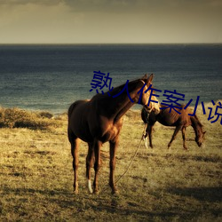 熟人作案小说 （杰作）
