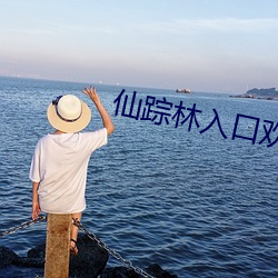 仙蹤林入口歡迎您免費進入
