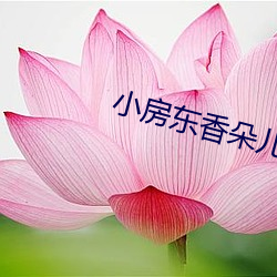 小房东香朵儿