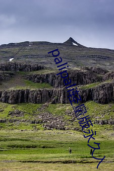palipali轻量版永久入(rù)