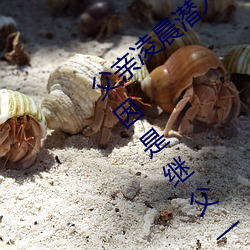 父親淩晨潛入兒媳房間 強行發生性關系只因是繼父—人民