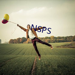 NSPS （布展）