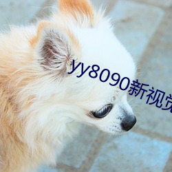 yy8090新视觉