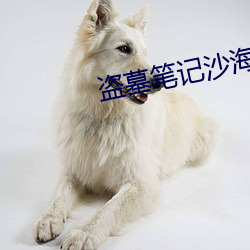 盗墓笔记沙海 受骗）