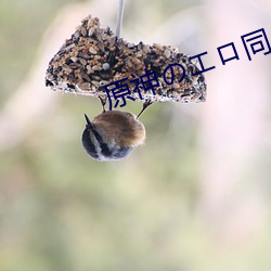 原(yuán)神のロ同人网址