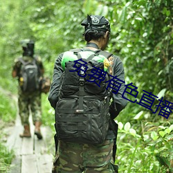 918博天堂·(中国)手机版客户端