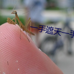 一手遮天一手捶地 （枕戈坐甲）