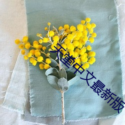 BG大游(中国)唯一官方网站