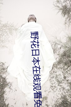 野花日本在线观看免费观看3