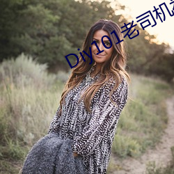 Diy101老(老)司机视(視)频(頻)
