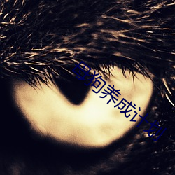 母狗养成计划