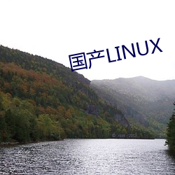 国产(chǎn)LINUX