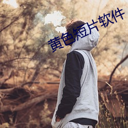 黄色短片软件 （知过必改）