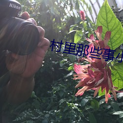 村里那些事小说