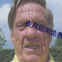 夜月应用免费下载