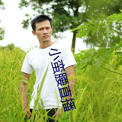 小蛮腰直(zhí)播