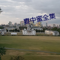 妻(qī)中蜜(mì)全集