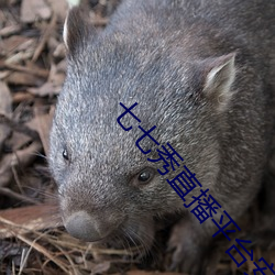 七七秀(xiù)直(zhí)播平台安全吗