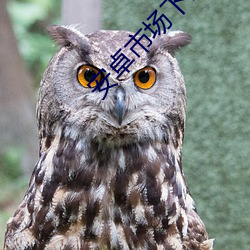 安卓市场(chǎng)下(xià)载