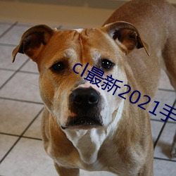 cl最新2021手機地址