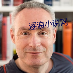 逐浪小說網