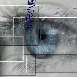 北(北)宋小厨师(師)