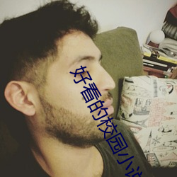 好看的校园小说