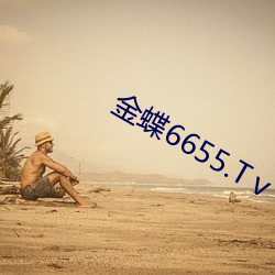 金蝶6655.Tⅴ