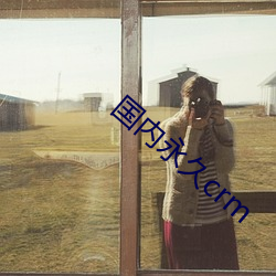 国内永久crm （鹰扬虎视）