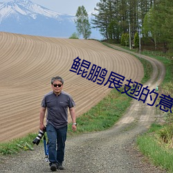 鲲鵬展翅的意思