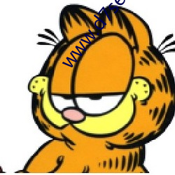www.d7se.com