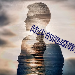 陆少的隐婚罪妻