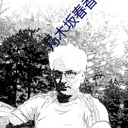 乃(乃)木坂春(春)香的秘(秘)密