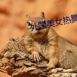 外國美女熱舞